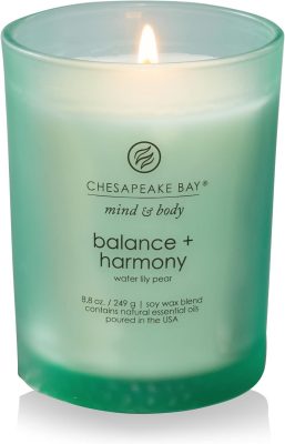 Chesapeake Bay Candle Scented Candle